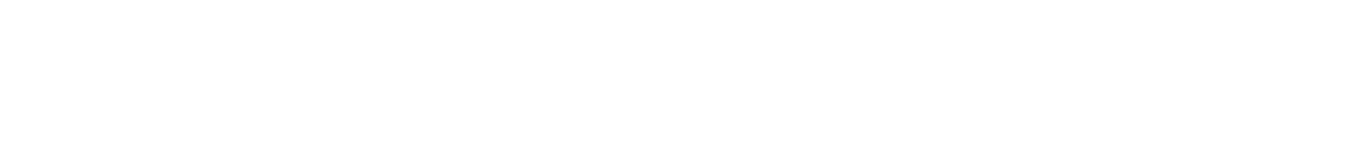 Ansen Corporation Logo Horizontal White